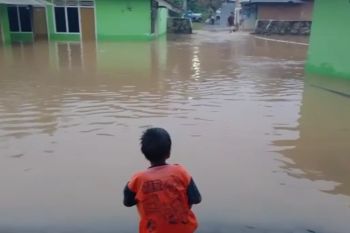 BPBD sebut tujuh titik rawan banjir di Bandarlampung
