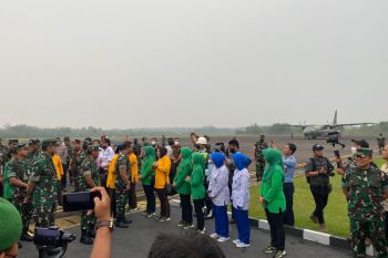 Bupati Waykanan sambut kedatangan Panglima TNI di Lanudad Gatot Subroto
