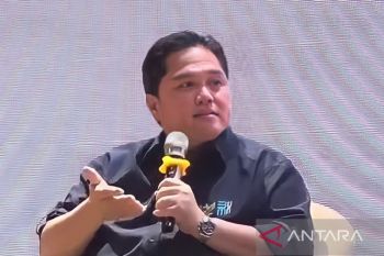 Erick Thohir mendorong Garuda stabilkan harga tiket pesawat