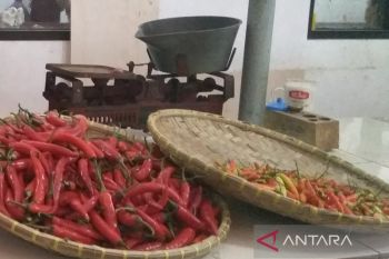 Minggu pertama Agustus, harga kebutuhan pokok di Banyumas mulai turun
