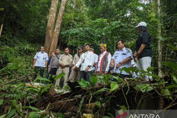 BKSDA lepas liarkan burung kacer di Gunung Poteng Singkawang