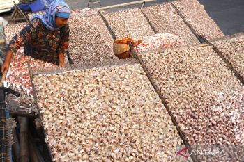 Harga ikan kering