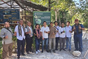 WIKA dukung pelestarian satwa langka kura-kura leher ular Rote di NTT