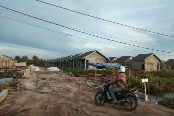 DPMPTSP Palangka Raya: Nilai investasi triwulan II capai Rp241 miliar