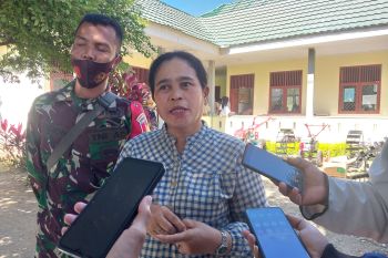 BPP Dolo  sebut 600 hektare sawah alih fungsi jadi lahan hortikultura