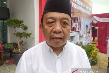 Ribuan ikan di Seluma mati, disinyalir karena limbah pabrik