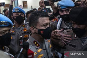 Drama pernyataan cinta istri Ferdy Sambo