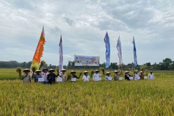 Pemerintah siapkan sejumlah strategi untuk hadapi ancaman krisis pangan global