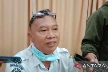 Pemkab Jayapura sebut obat malaria tersedia hingga akhir Agustus 2022