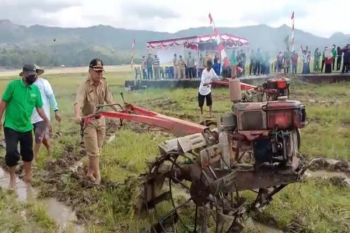Kulon Progo lakukan percepatan olah sawah di Pronosutan