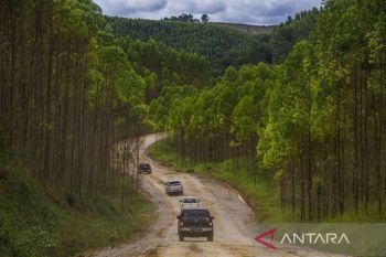 Otorita harap peran ahli biologi terapkan konsep kota hutan di IKN