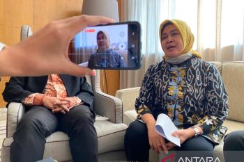 Beberapa negara tertarik kolaborasi untuk rehabilitasi mangrove