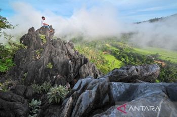 Menghirup aroma alam akan bantu orang merasa lebih tenang