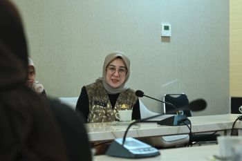 Virtual Job Fair Sulsel 2022 menawarkan 6.350 lowongan pekerjaan