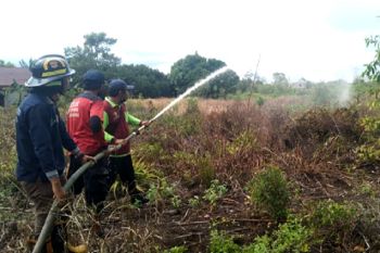 DLH Palangka Raya cegah karhutla dengan pembasahan lahan
