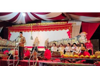 Mesuji gelar wayang kulit di Desa Mekar Sari