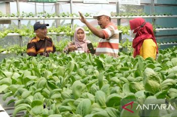 Produktivitas Pertanian Melesat Berkat Layanan Listrik Hebat dari PLN