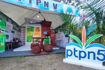PTPN V Semarakkan Festival Rakyat Bagholek Godang