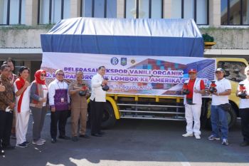 BI sebut Vanili akan menjadi sumber pertumbuhan ekonomi baru NTB