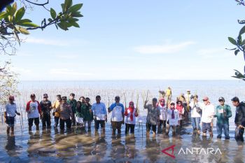 CDK Bosowasi tanam 38 ribu mangrove di Kabupaten Bone