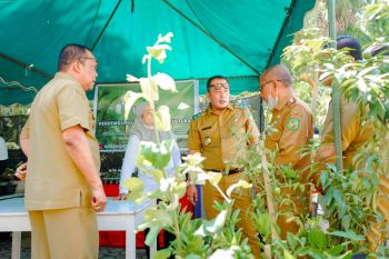 Di Medan ada bursa tanaman hias