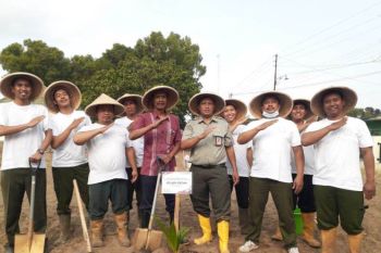 Jelang HUT RI, Polbangtan Kementan tanam 77 pohon