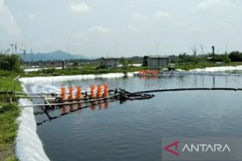 Dinas Perikanan Karawang buka lahan tambak untuk budidaya ikan nila dan udang