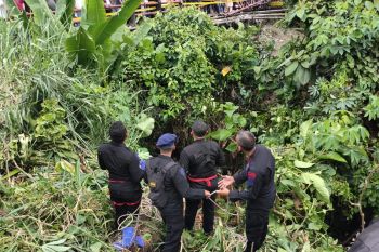 Truk bermuatan karet jatuh ke jurang 20 meter di Rejang Lebong, sang sopir tewas