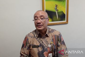Kepala BKN pastikan tidak ada penerimaan CPNS tahun 2022