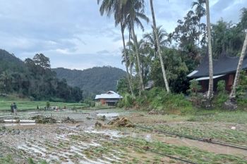 Rumah dan sawah warga terendam banjir bandang di Garabak Data Kabupaten Solok