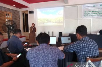 DKP lansir 49,6 persen potensi mangrove di  Sulsel rusak