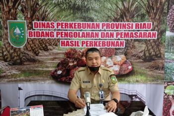 Harga TBS kelapa sawit di Riau naik jadi Rp2.433,66/kg