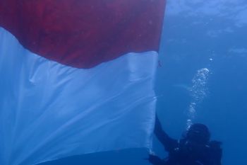 77 penyelam mengibarkan Bendera Merah Putih di Taman Laut Pandanan Lombok