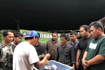 Upaya tingkatkan kesejahteraan Kaltara, "sulap" limbah gaharu jadi "cuan"