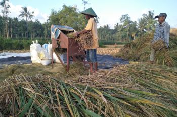 Alokasi pupuk bersubsidi 2023 di Lombok sesuai E-RDKK