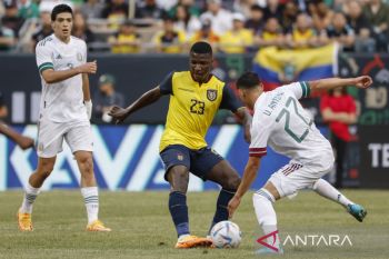 Man United bidik Moises Caicedo
