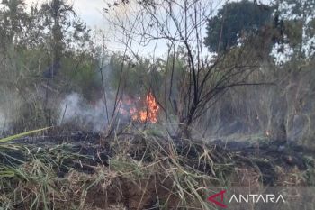 Damkar Agam dan Bukittinggi berhasil padamkan kebakaran lahan