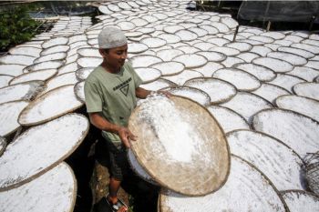 Ministry encourages strengthening SMEs through Fifth EWG Meeting