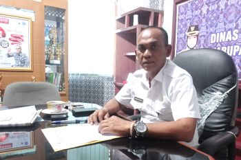 Lebak kembangkan budi daya tanaman sorgum 21 hektare