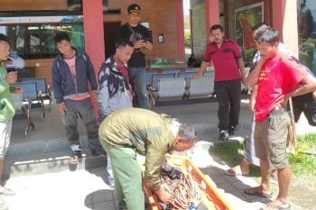 Warga Portugal diduga tewas setelah jatuh ke jurang Gunung Rinjani Lombok