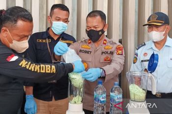 Ribuan pil ekstasi dimusnahkan, seorang kurir di Meranti terancam hukuman mati