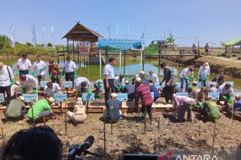 PT Pelindo rehabilitasi 31 hektare mangrove di Maros dan Kota Makassar