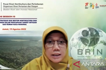 Sektor perkebunan berpotensi besar atasi perubahan iklim
