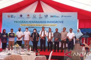 Pelindo tanam mangrove serentak melibatkan komunitas pesisir