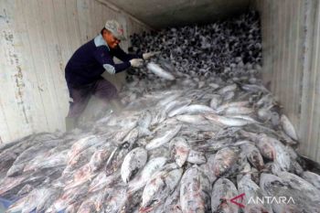 Ikan laut beku lebih direkomendasikan untuk menjaga nilai gizi dan keamanan pangan