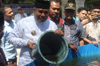 Pj Bupati Abdya apresiasi ide Keuchik kembangkan budidaya ikan lele