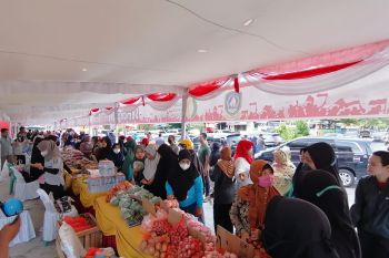 TPID Kepri dorong kelompok tani tingkatkan produksi pangan