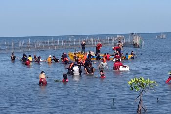 Penggiat lingkungan tanam 2.000 mangrove di Makassar