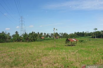 Sumsel wujudkan produksi 2,9 juta ton GKG