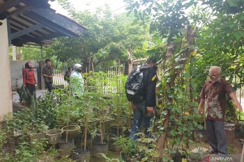 Menguatkan pertanian perkotaan dalam Gerakan Sumsel Mandiri Pangan